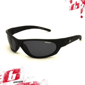 8169 c3 pl
